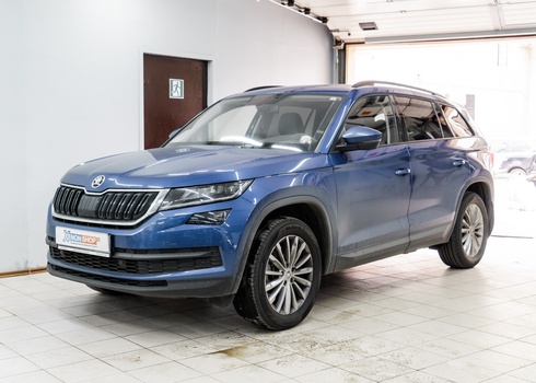 Тонировка задней полусферы Шкода Кодиак / Skoda Kodiaq